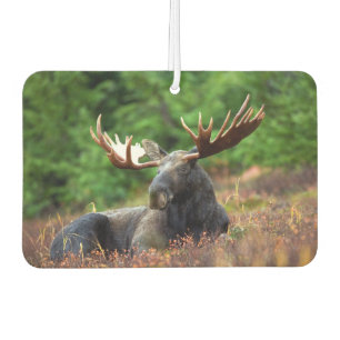 Moose Car Air Freshener
