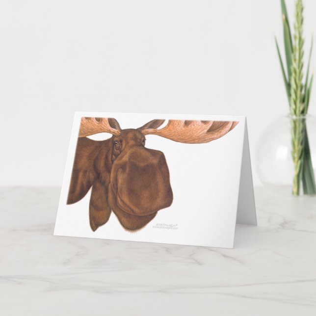 moose_card card (Front)