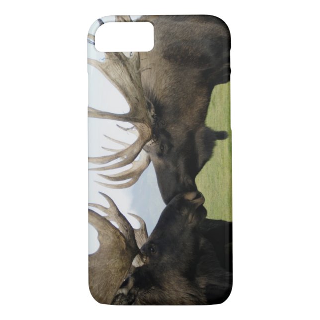 Moose Case-Mate iPhone Case (Back)