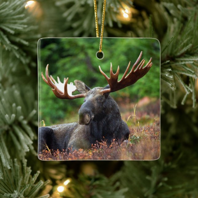 Moose Ceramic Ornament (Tree)