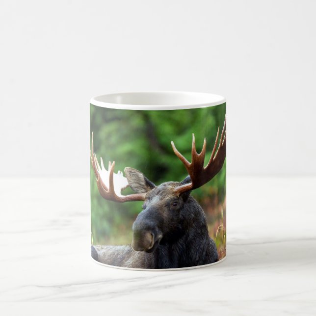 Moose Coffee Mug (Center)