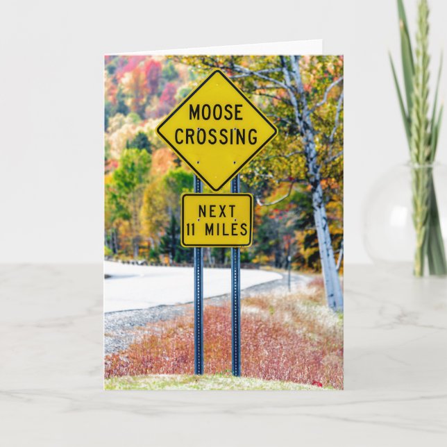 Moose Crossing Greeting Card (Front)