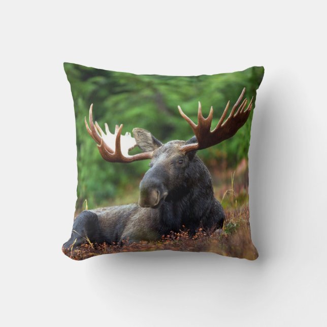 Moose Cushion (Front)