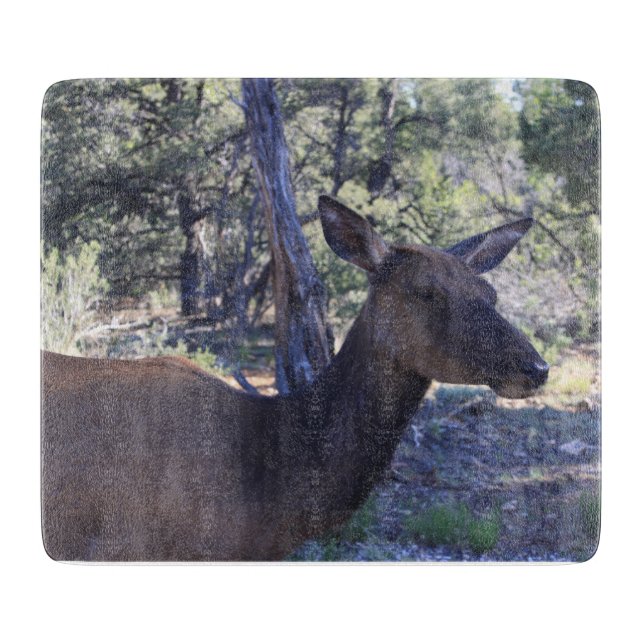 Moose Cutting Board (Front)