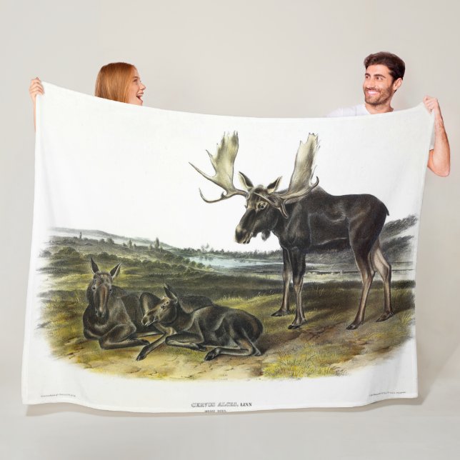 Moose Deer (Moose - Alces alces) by Audubon Fleece Blanket (In Situ)