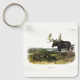 Moose Deer (Moose - Alces alces) by Audubon Key Ring