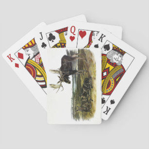 Moose Deer (Moose - Alces alces) by Audubon Playing Cards