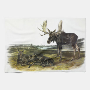 Moose Deer (Moose - Alces alces) by Audubon Tea Towel