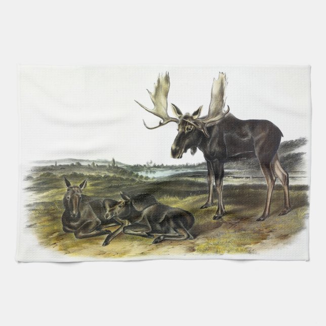 Moose Deer (Moose - Alces alces) by Audubon Tea Towel (Horizontal)