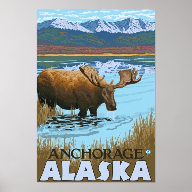 Moose Drinking at Lake - Anchorage, Alaska Poster (Front)