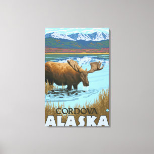 Moose Drinking at Lake - Cordova, Alaska Canvas Print
