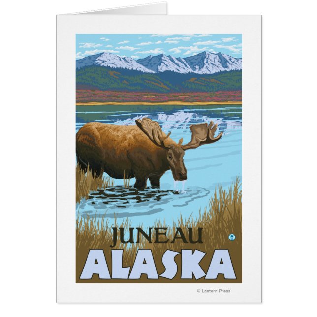 Moose Drinking at Lake - Juneau, Alaska (Front)