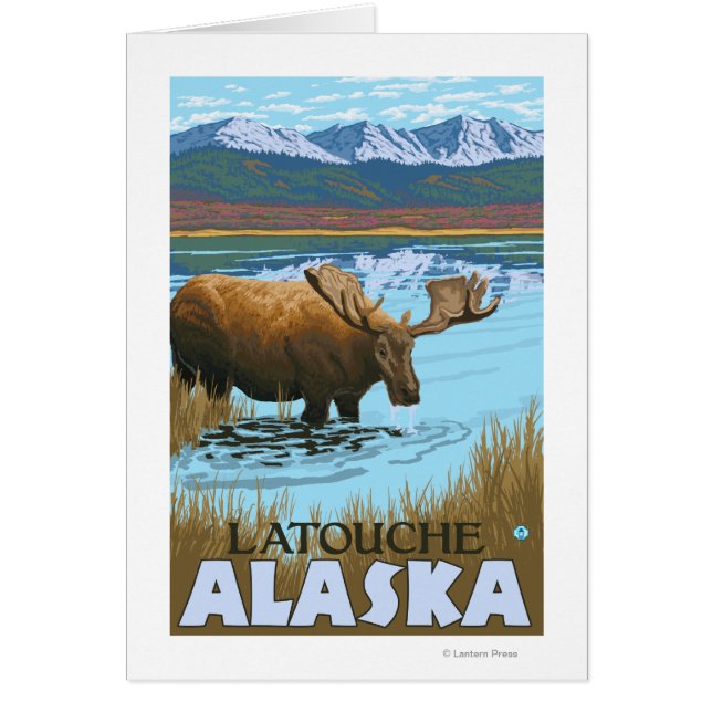 Moose Drinking at Lake - Latouche, Alaska (Front)