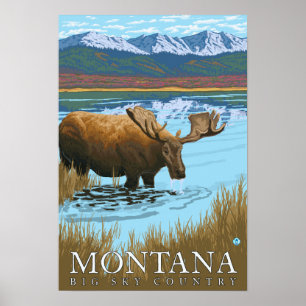 Moose Drinking at Lake - Montana Poster