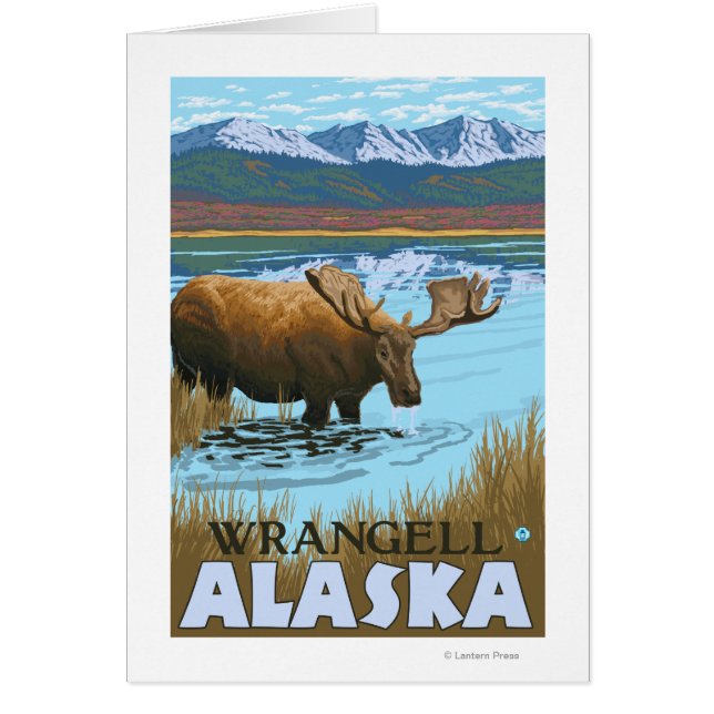 Moose Drinking at Lake - Wrangell, Alaska (Front)