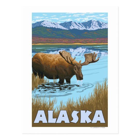Moose Drinking Water Vintage Travel Poster Postcard