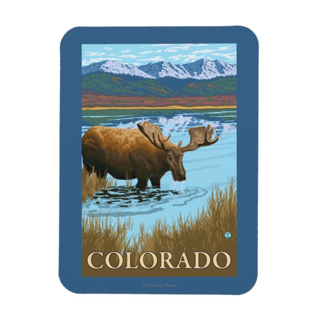 Moose DrinkingColorado Magnet (Vertical)