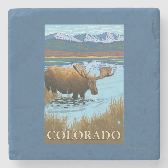 Moose DrinkingColorado Stone Coaster (Front)