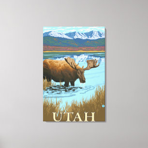 Moose DrinkingUtah Canvas Print