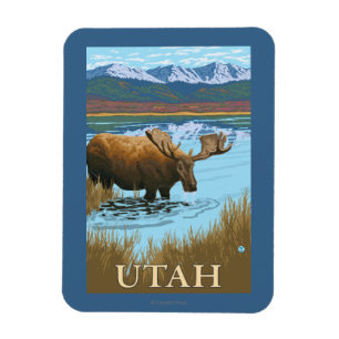 Moose DrinkingUtah Magnet