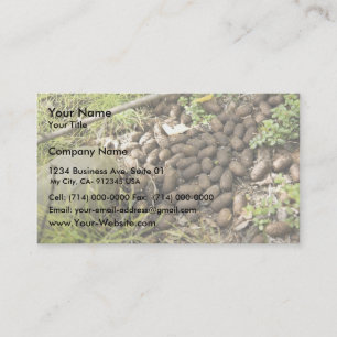 Moose droppings business card