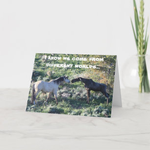 Moose Encounter Greeting Card