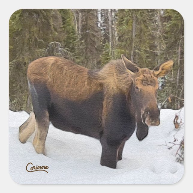 Moose - Envelope Stickers (Front)