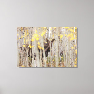 Moose Family in the Aspens Canvas Art