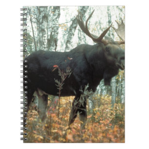 Moose Forest Trees Park Animal Wildlife Art Notebook