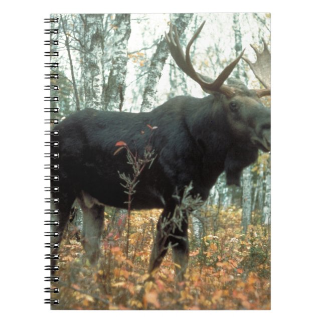 Moose Forest Trees Park Animal Wildlife Art Notebook (Front)