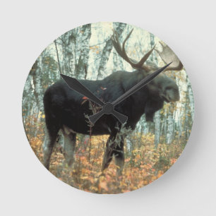 Moose Forest Trees Park Animal Wildlife Art Round Clock