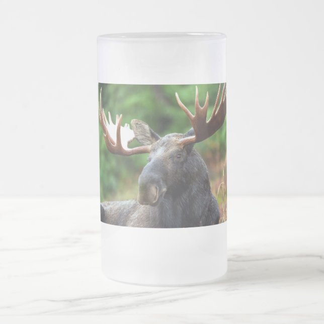Moose Frosted Glass Beer Mug (Center)