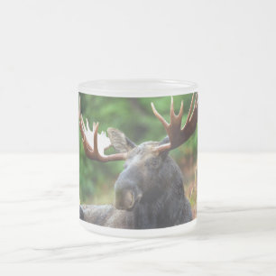 Moose Frosted Glass Coffee Mug