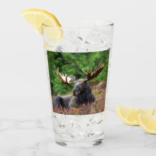 Moose Glass