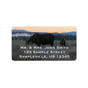 Moose Grazing at Sunrise at Grand Teton Label