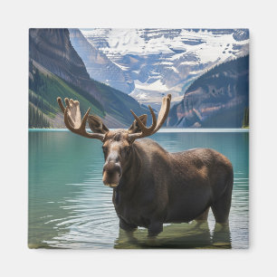 Moose in Banff National Park Canada Magnet