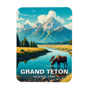 Moose in Grand Teton National Park Magnet