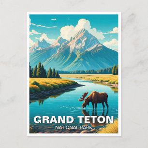 Moose in Grand Teton National Park Postcard