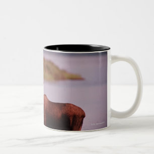 Moose in Lake Two-Tone Coffee Mug
