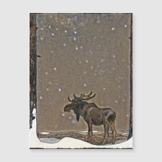 Moose in Snow 