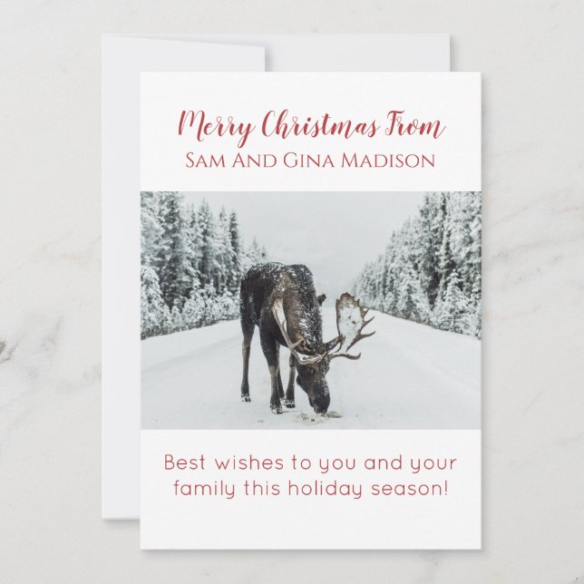 Moose In Snow Wilderness Christmas Card (Front)