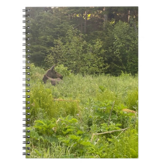 Moose in the Grass Notebook