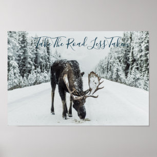 Moose In Winter On Road With Quote Poster