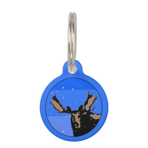 Moose in Winter  - Original Wildlife Art Pet Tag