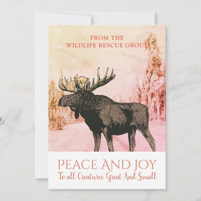 Moose In Winter Snow Business Christmas Holiday Card (Front)