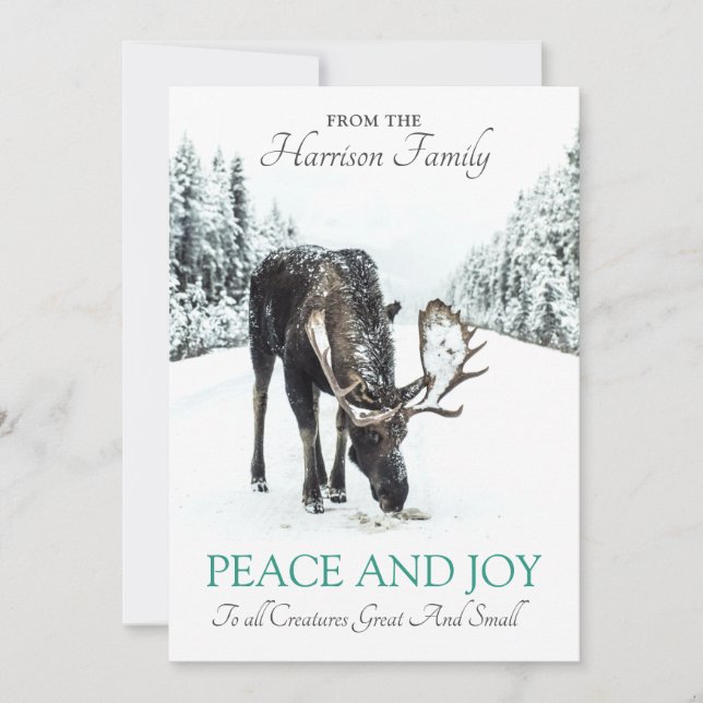 Moose In Winter Snow Christmas Peace Joy Holiday Card (Front)