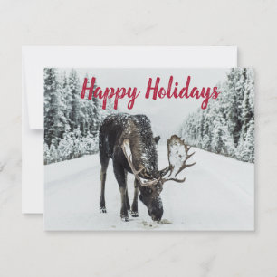 Moose In Winter Snow Wilderness Guide Holiday Card
