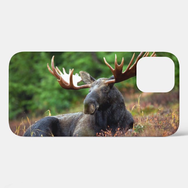 Moose iPhone 12 Case (Back (Horizontal))