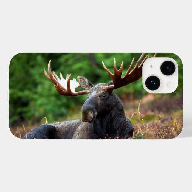 Moose iPhone 14 Case (Back (Horizontal))