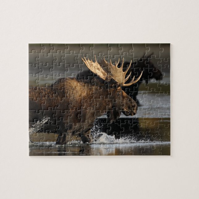 Moose Jigsaw Puzzle (Horizontal)